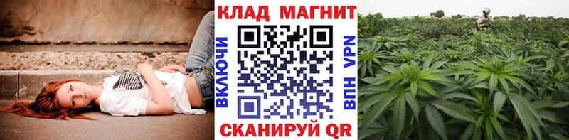 Наркошоп купить Псилоцибиновые грибы  Мефедрон  Конопля  АМФЕТАМИН  Кокаин  А ПВП  Городец