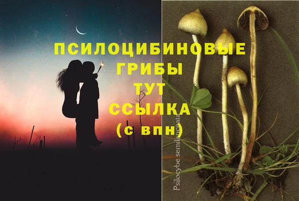 мдма Семилуки