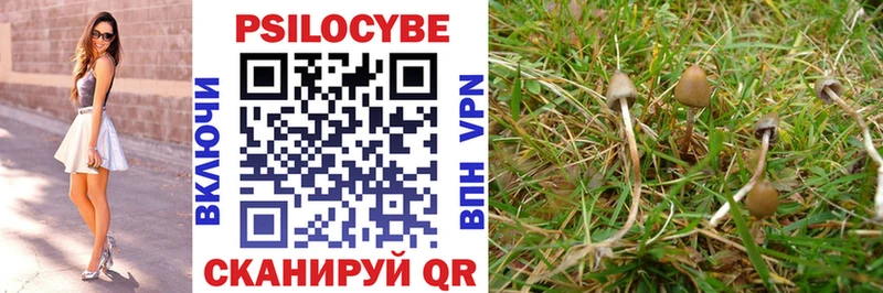 Псилоцибиновые грибы Psilocybine cubensis  Купить  Городец 